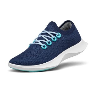 Buty do Biegania Allbirds Tree Dasher 1 Męskie Niebieskie Białe | PL4165IS