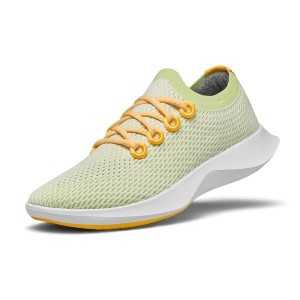 Buty do Biegania Allbirds Tree Dasher 1 Damskie Mięta | PL4584TV